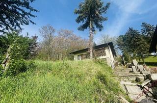 Grundstück zu kaufen in 2123 Hautzendorf, Nur 22 Kilometer von Wien! LANDLEBEN mit Aussicht! Baugrund mit Altbestand