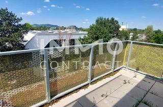 Wohnung mieten in Jerusalemgasse, 1210 Wien, UNBEFRISTETE 2-Zimmer-Terrasse-Wohnung - Jerusalemgasse 46 Top 22