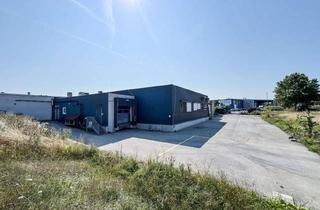 Immobilie kaufen in 3484 Grafenwörth, Produktionsliegenschaft direkt an der S5