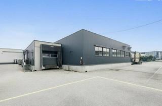 Immobilie kaufen in 3484 Grafenwörth, Produktionsliegenschaft Direkt an der s5