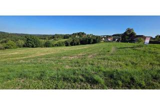 Grundstück zu kaufen in 8323 Krumegg, Sonniges Baugrundstück in Kohldorf 15 km östlich von Graz!