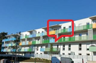 Wohnung mieten in Bahnhofstraße, 3430 Tulln an der Donau, 3 Zimmer Dachgeschosswohnung, Einbauküche, 2 Garagenplätze und südseitiger Balkon