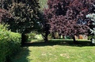 Haus kaufen in 7535 Sankt Michael im Burgenland, Ruhig, sonnig einfach zum Entspannen