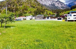 Grundstück zu kaufen in 6210 Wiesing, Grundstück mit Traumaussicht für Ihre Doppelhaushälfte