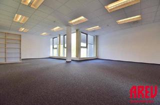 Büro zu mieten in Blumauerstraße 43-47, 4020 Linz, BESTER BÜROSTANDORT IN DER BLUMAUERSTRASSE - 3.OG