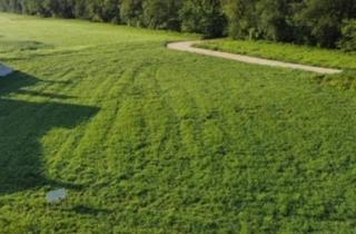 Grundstück zu kaufen in Teuflau 11, 4770 Andorf, Baugründe