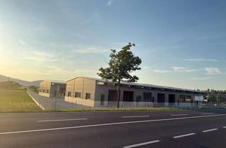 Lager mieten in Gewerbepark B17 / Ii / Straße 3 / Objekt 11, 2524 Teesdorf, Neue Gewerbehalle - 154-245 m² je Einheit - Lager, Produktion, Werkstatt, Büro - Erstbezug - direkt an der B17, nahe A2 - Teesdorf bei Baden, Kottingbrunn, Bad Vöslau, NÖ südlich von Wien