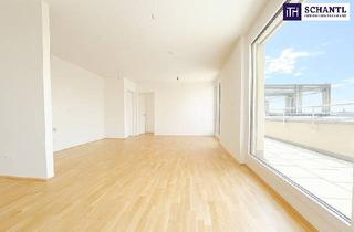 Wohnung mieten in Dr. Fred Sinowatz Straße, 2435 Ebergassing, 3-Zimmer-Wohntraum mit Dachterrasse in Ebergassing - Sonnenuntergänge inklusive! Schnell sein!