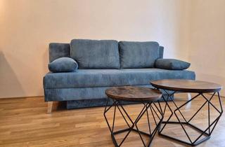 Wohnung mieten in Wagramerstrasse 64-66, 1220 Wien, Komplett Möblierte Wohnung in der Nähe der UNO Alte Donau