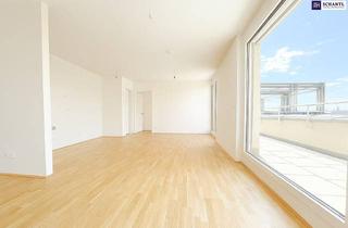 Wohnung mieten in Dr. Fred Sinowatz Straße, 2435 Ebergassing, 3-Zimmer-Wohntraum mit Dachterrasse in Ebergassing - Sonnenuntergänge inklusive! Schnell sein!