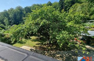 Haus kaufen in 4040 Gramastetten, Traumhaus in Gramastetten, direkt an der Stadtgrenze zu Linz: Wohnen oder Arbeiten in Top-Lage!