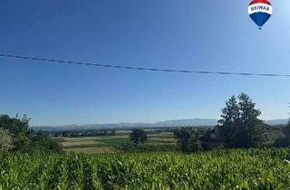 Grundstück zu kaufen in 4072 Alkoven, Einzigartiges Baugrundstück in Alkovner Aussichtslage