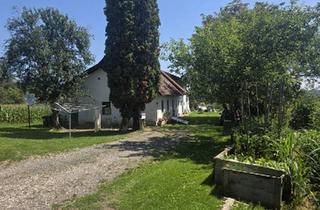 Gewerbeimmobilie kaufen in 8092 Mettersdorf am Saßbach, Bauernhaus (stark sanierungsbedürftig) mit Grund und kleinem Teich