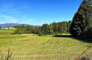 Grundstück zu kaufen in 2632 Penk, Baugrund mit Fernblick bis zum Schneeberg - kein Bauzwang - AUFGESCHLOSSEN