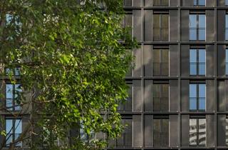 Wohnung mieten in 1220 Wien, Sonnige 1 1/2 Zimmer-Wohnung - Erstbezug in den DC Flats - zu mieten in 1220 Wien