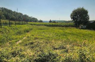 Grundstück zu kaufen in 3313 Wallsee, 3313 Wallsee/Nähe Donau: Sonniges Baugrundstück in sehr guter, ruhiger Lage