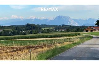 Grundstück zu kaufen in 4901 Ottnang, Baugrundstück mit Blick auf den Traunstein, in Ottnang am Hausruck