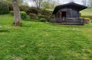 Grundstück zu kaufen in Ottnang, 4902 Wolfsegg am Hausruck, Baugrund ohne Bauzwang mit Gartenhaus zu kaufen