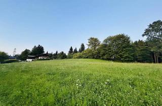 Grundstück zu kaufen in 6911 Lochau, Seltene Gelegenheit - Sonniges Liebhaber-Grundstück mit traumhafter Aussicht am Pfänder / Bodensee