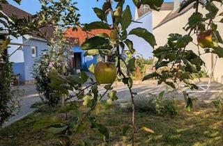 Haus kaufen in 7000 Eisenstadt, Zwei Häuser +Baugrund Gartenparadies, Wohlfühloase & Investmentchance in begehrter Lage