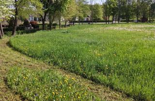Grundstück zu kaufen in Punitz 86, 7544 Punitz, Privat: Sonniges Baugrundstück in Südburgenland