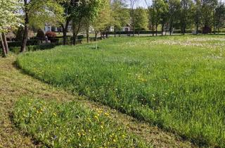 Grundstück zu kaufen in Punitz 86, 7544 Punitz, Privat: Sonniges Baugrundstück in Südburgenland