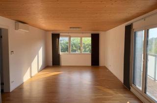 Wohnung mieten in Holzwindenerstraße 53, 4221 Steyregg, Charmante Wohnung mit Balkon in Steyregg