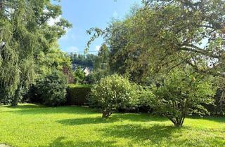 Wohnung mieten in 5081 Anif, Anif - Charmante 3 Zimmer Wohnung mit Balkon