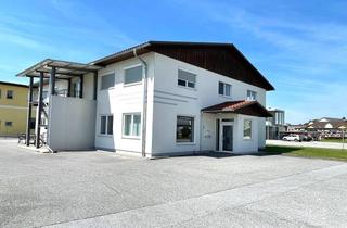Büro zu mieten in 8261 Sinabelkirchen, Moderne, barrierefreie Werkstätte/ Produktionsstätte mit Büroflächen