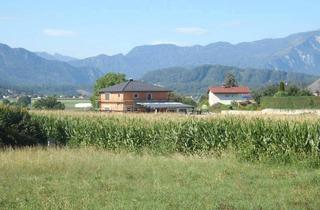 Grundstück zu kaufen in 9141 Eberndorf, !Preisreduziert! Top Baugrundstück