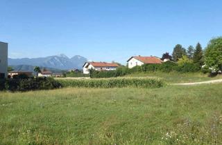 Grundstück zu kaufen in 9141 Eberndorf, !Preisreduziert! Top Baugrundstück