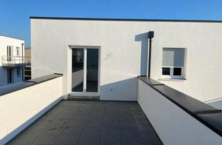 Wohnung mieten in 3451 Michelhausen, Dachterrasse mit Weitblick inkl. Stellplatz und Komplettküche