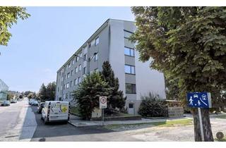 Wohnung kaufen in 7423 Pinkafeld, ATTRAKTIVE WOHNUNG ALS ANLAGE ODER ZUM SELBSTBEZUG