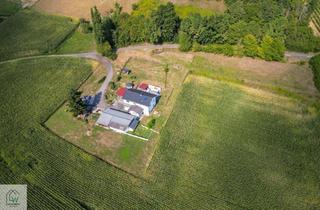 Mehrfamilienhaus kaufen in 8380 Jennersdorf, Ihre private Oase – großzügig, sonnig, vielseitig - Mehrfamilienhaus in Jennersdorf