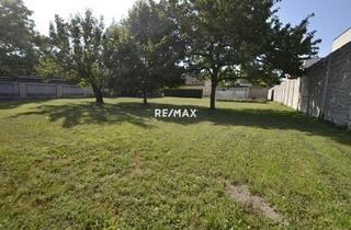 Grundstück zu kaufen in Dr. Schreber-Gasse, 2442 Unterwaltersdorf, Jahrelang Grundstück suchen oder jetzt entscheiden!