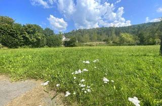 Grundstück zu kaufen in Rothenthurn, 9701 Rothenthurn, Traumhaftes Baugrundstück in Rothenthurn Nähe Spittal/Drau – Berg- und Grünblick!