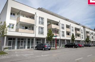 Geschäftslokal mieten in Hargelsberger Straße 2/L 5, 4484 Kronstorf, Modernes Geschäftslokal ab sofort verfügbar in Kronstorf