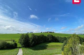 Genossenschaftswohnung in Hollerberg 70/7, 4171 Auberg, *6 MONATE MIETREDUZIERT WOHNEN*