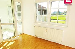 Wohnung mieten in Birkengasse 11/7, 4261 Rainbach im Mühlkreis, Helle 3-Zimmer Wohnung in Rainbach