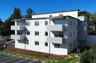 Wohnung mieten in Veldenstraße, 4121 Altenfelden, Schöne 3-Zimmer-Gartenwohnung im Zentrum von Altenfelden, kurzfristig beziehbar *TOP 5 - Erstbezug*