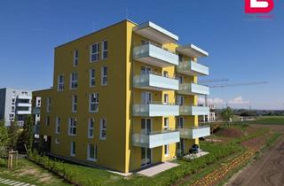 Wohnung kaufen in Breitwiesenstraße 22/2. 09, 4481 Asten, PV-Anlage inklusive: jetzt einziehen & profitieren! *TOP 2.09* 3-Zimmer-Wohnung - Auf der Breitwies'n Asten