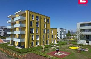 Wohnung kaufen in Breitwiesenstraße 22/2. 06, 4481 Asten, *EIGENTUM* Auf der Breitwies'n Asten - 3-Zimmer-Wohnung / TOP 2.06