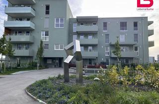 Wohnung kaufen in Breitwiesenstraße 28/4. 14, 4481 Asten, 4481 Asten, Stylische 2-Zimmer-Eigentumswohnung im Neubau/Erstbezug!