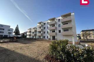 Wohnung kaufen in Max-Hirschenauer-Straße 30 B/1. 03, 4780 Schärding Innere Stadt, *EIGENTUM* Stadtquartier Schärding - 2-Zimmer-Gartenwohnung / Haus 1 / TOP 3