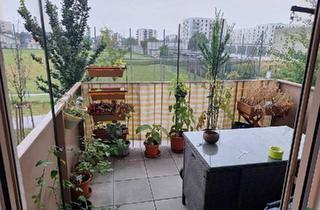 Wohnung mieten in Kagraner Platz, 1220 Wien, Helle 2-Zimmer Wohnung mit Balkon ab 01.11. – Nähe U1 Kagraner Platz