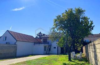 Einfamilienhaus kaufen in 7122 Gols, Einfamilienhaus im Dorfzentrum