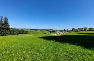 Grundstück zu kaufen in 5242 Sankt Johann am Walde, 4 Baugründe mit traumhafter Aussicht