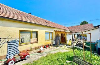 Reihenhaus kaufen in 2286 Straudorf, *** CHARMEUR SUCHT HÄNDE MIT HERZ ***