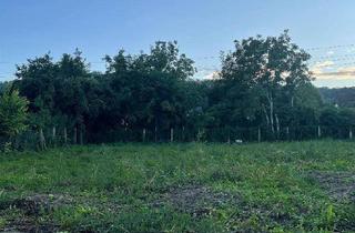 Grundstück zu kaufen in 3701 Großweikersdorf, Ca.932 m² großer sonniger Baugrund in Großweikersdorf