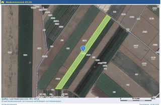 Gewerbeimmobilie kaufen in 2253 Stripfing, Landwirtschaftliche Fläche zwischen Oberweiden und Weikendorf! Mega Chance für alle Landwirte